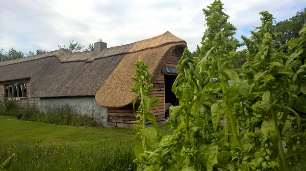 Thatched Banquet Room and Pizza Oven at Boglands - Hen Party Glamping