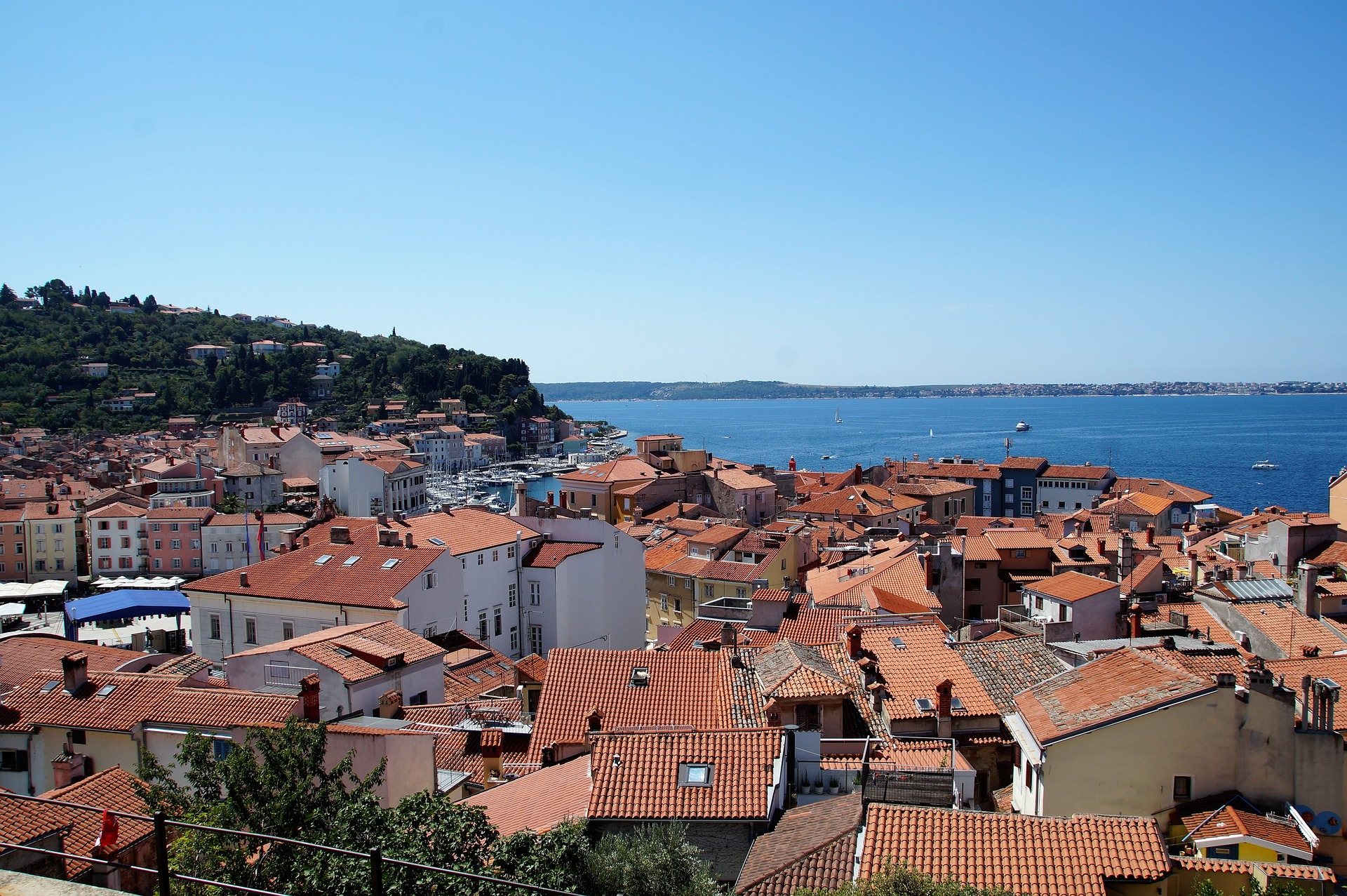 The Red Rooftops of Piran