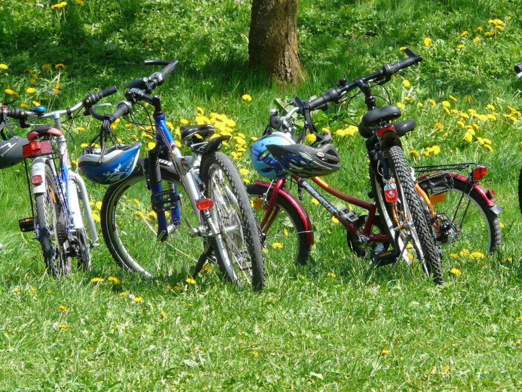 Bicycles, Helmets, Grass, Dandelions, Rural, Idyllic,
