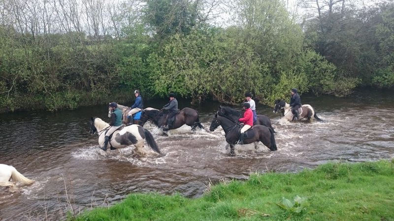 Horse Trekking in County Offaly – Racefield Stables