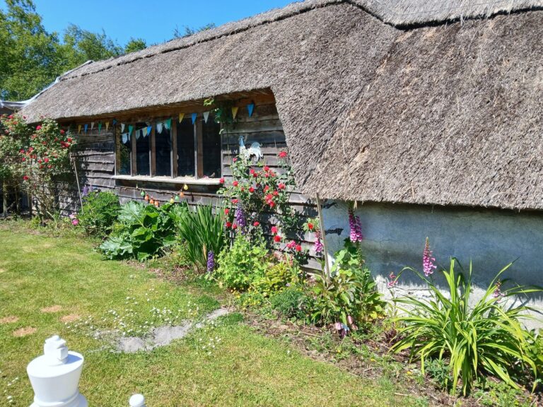 Thatched cottage with wildflower garden